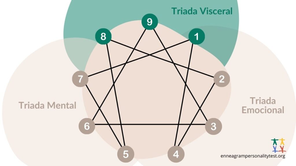 Triada Visceral